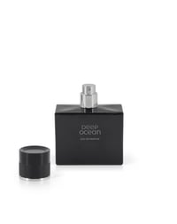 Image 2 of Deep Ocean | Bleu Dupe Aftershave
