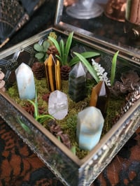 Image 4 of Crystal Garden Terrarium