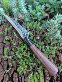 Image 2 of ONYX MICRO FIGHTER