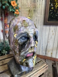 Image 4 of Swamp Rot