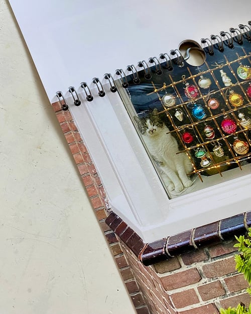 Image of 'Cats and Dogs in the Window' • 2026 CALENDAR