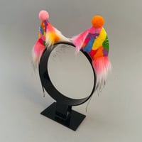 Image 2 of Rainbow Clown Kitten