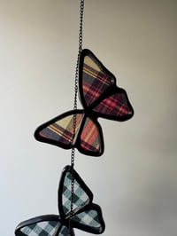 Image 2 of Butterflies V8