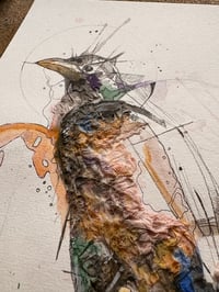 Image 5 of Corbeau 