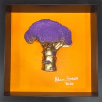 Psychedelic Broccoli 