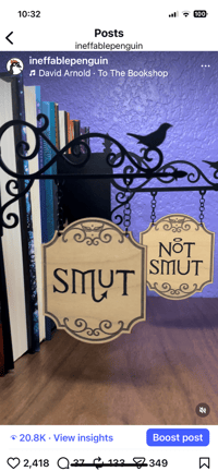 Image 2 of Bookshelf Divider “Smut/Not Smut” duo