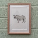Image 1 of £50 originals - Rhino watercolour
