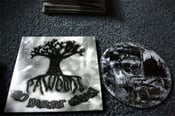 Image of pawoods 10 year dvd