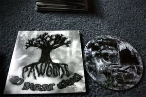 Image of pawoods 10 year dvd