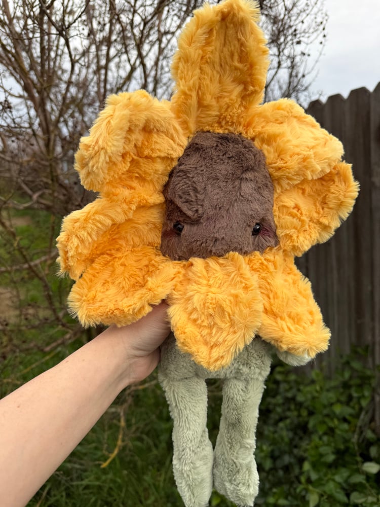 Image of sunflower!
