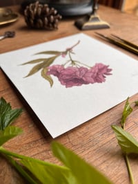 Image 3 of Blossom Original Painting
