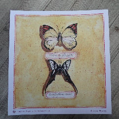 Image of Butterfly Print no.2