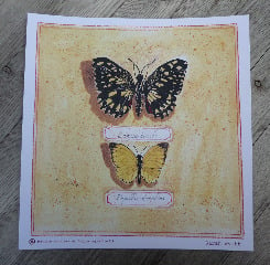 Image of Butterfly Print no.3