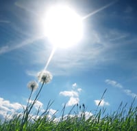 Image 1 of Spring Clean
