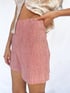 The Michie Shorts Image 3