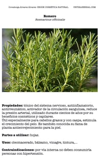 Image 4 of Ebook cosmética natural