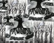 Image of catty woods/pawoods 10 year dvd