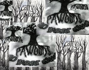 Image of catty woods/pawoods 10 year dvd