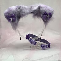 Purple puppy pet play  set 🐾🐈‍⬛