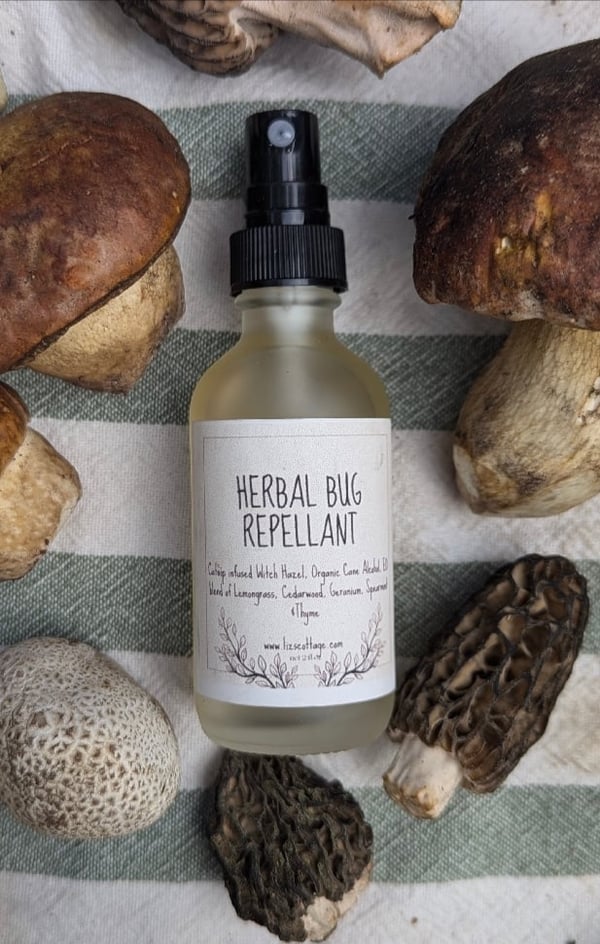 Image of Herbal Bug Repellant
