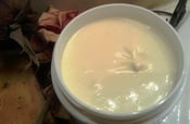Image of Whipped Shea Coconut Hair & Body Butter