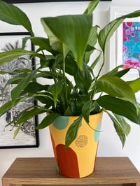 Spring - indoor plant pot 