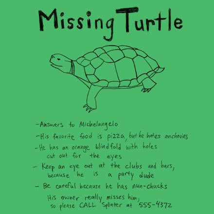 Image of Missing Turtle