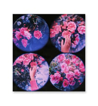 Image 1 of MOON LANDSCAPES, ROSES