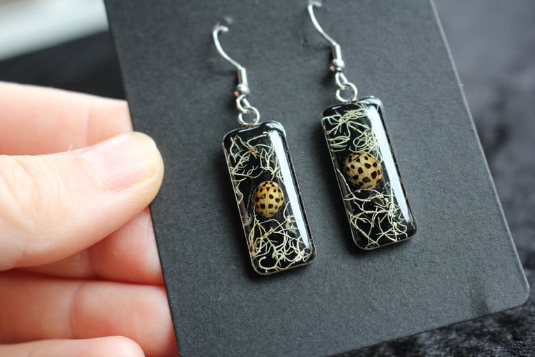 sunbleached lady bird stainless steel earrings 2 Image 4
