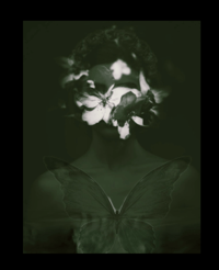 Image 1 of WE ARE BORN OF WINGS 