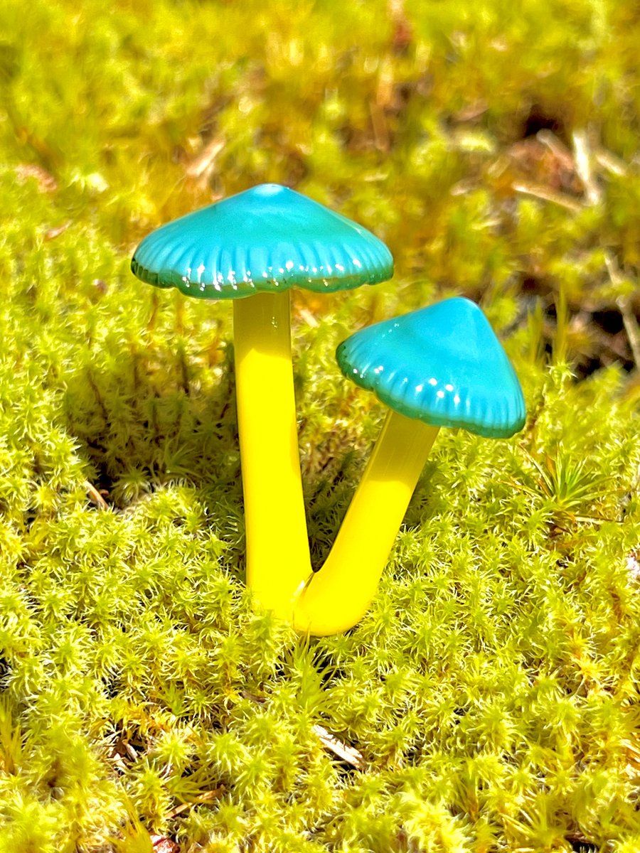 Image of 2 Blue & Yellow Mushroom Plant Spikes