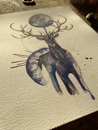 Image 4 of Cerf Indigo 