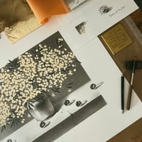 Image 5 of ACACIA DEALBATA & MARBLES