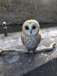 Image 1 of Needle Felted Barn Owl 