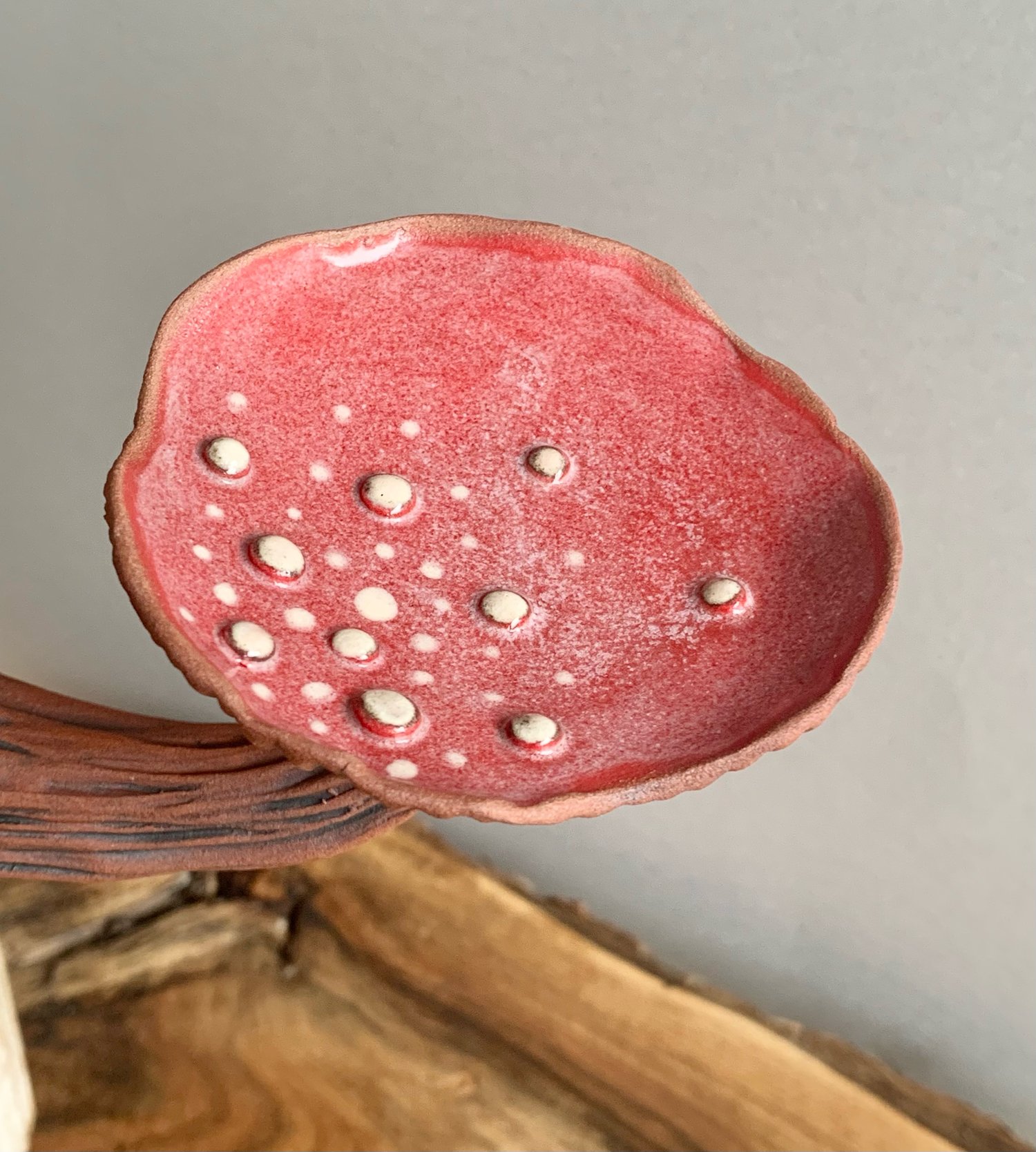 Image of Red Wall Mushroom 