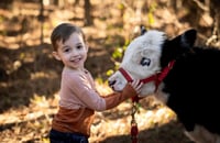 Image 7 of Professional photos with our brand new baby highland cow! 