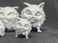 Image 6 of Loth Kittens