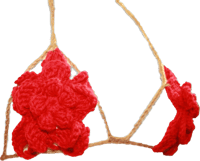 Image 1 of Signature Rose Top
