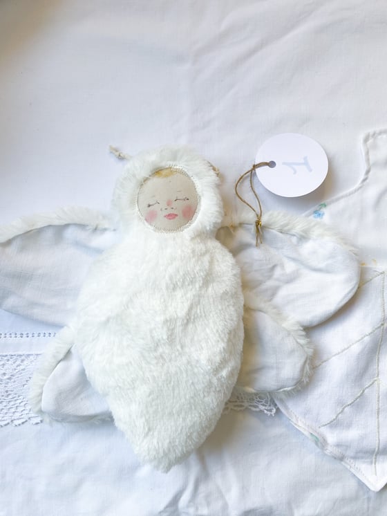 Image of Papillon d’hiver / winter moth