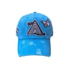 Art Of Fame/ Embroidery Butterfly/ A-Team North Carolina Blue Dad Hat