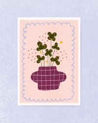 Image 1 of Lucky You