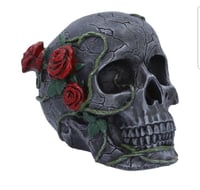 Image 4 of Twilight Bloom 15.6cm