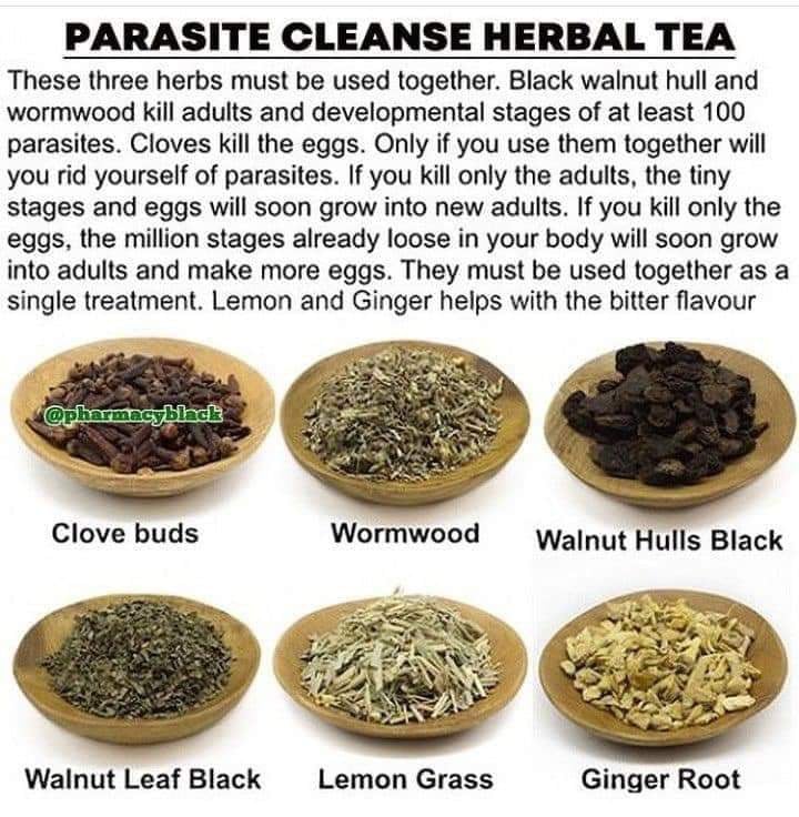 Image of Parasite Cleanse Herbal Tea