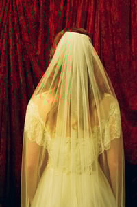 Image 3 of Pearl Trimmed Veil
