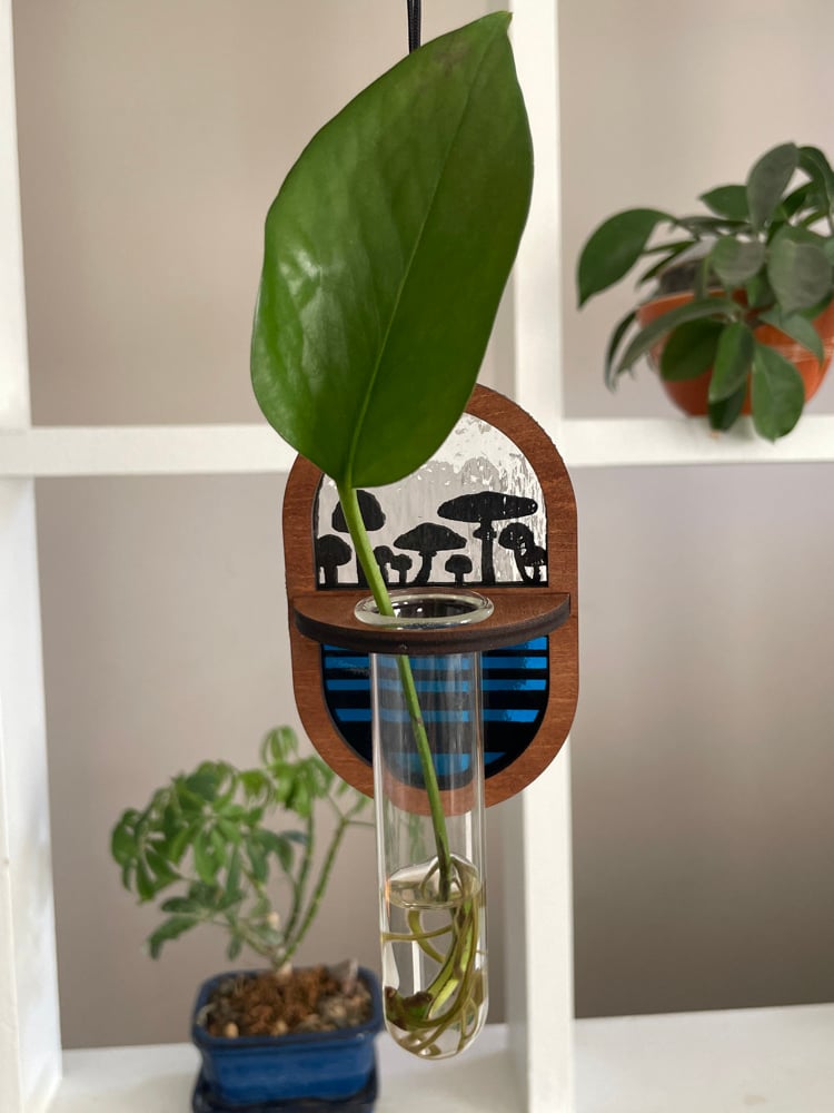 Propagation Station - Shroomin’