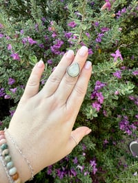 Image 2 of The White Lily Ring (7.5)