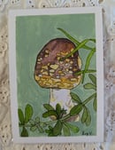 Image 2 of Amanita augusta & Cleavers - Print