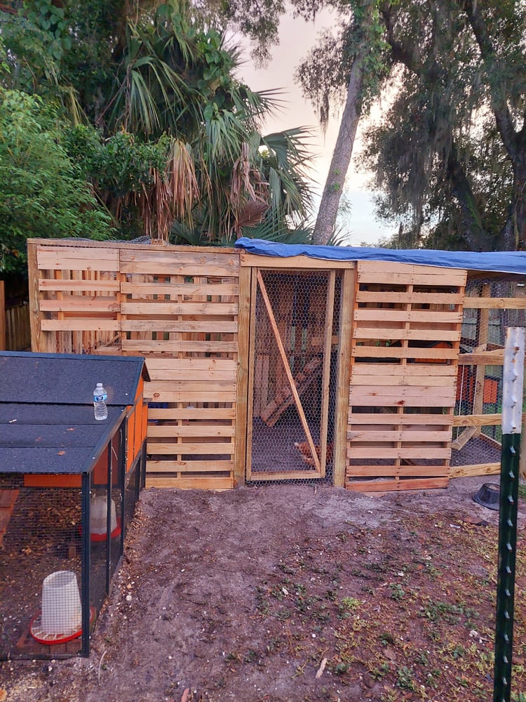 Image of Chicken Coop