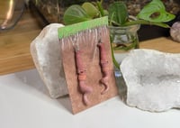 Image 4 of Worm Earrings - Squiggy and Noodle