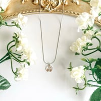 Image 1 of CHERRY CHARM